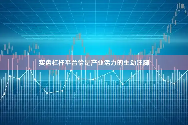 实盘杠杆平台恰是产业活力的生动注脚