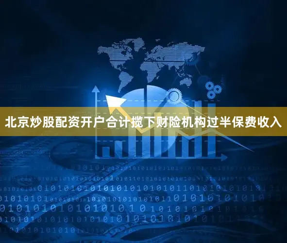 北京炒股配资开户合计揽下财险机构过半保费收入